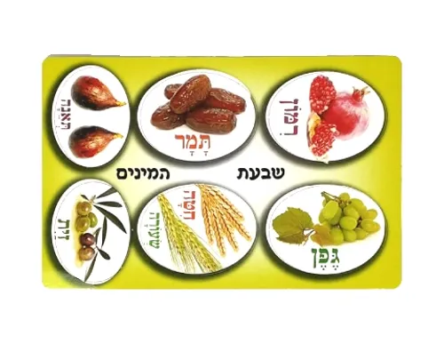 ערכת יצירה - טנא עם מגזרות שבעת המינים - 36 יח'