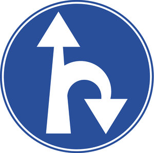 תמרור 209 סע ישר או בפנית פרסה ימינה