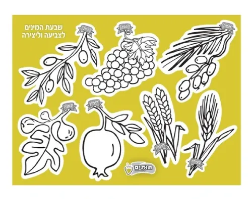 שבעת המינים לצביעה והדבקה - 36 יח'