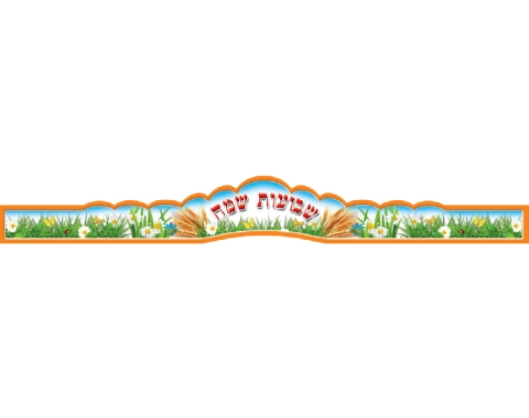 כתר שבועות - "שבועות שמח" - 36 יח
