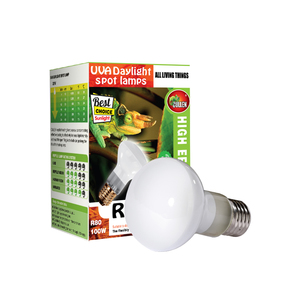 קולין מנורת אור שמש 100W UVA