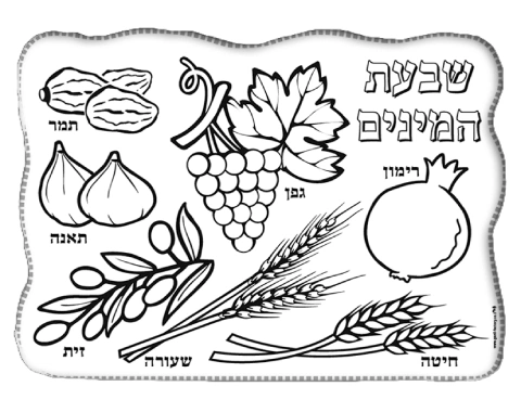 עבודת יצירה - פלייסמנט 7 המינים - 36 יח