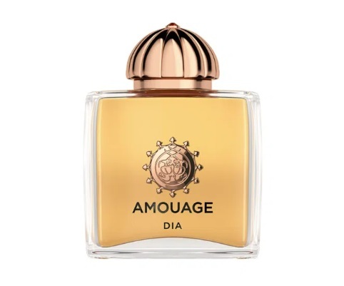 בושם לאישה Amouage DIA EDP 100 ml