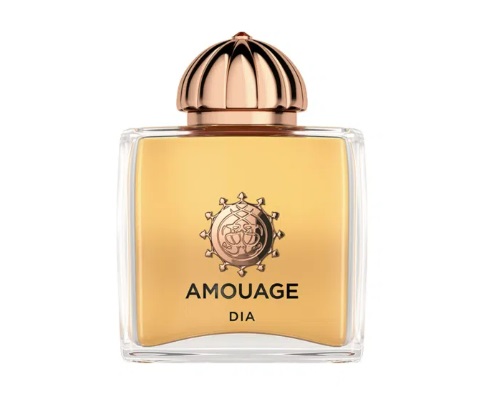 בושם לאישה Amouage DIA EDP 100 ml