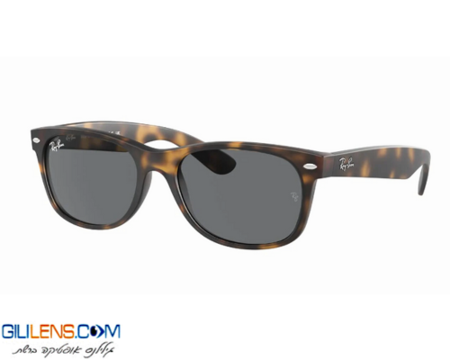 משקפי שמש Ray Ban 2132 865/B1
