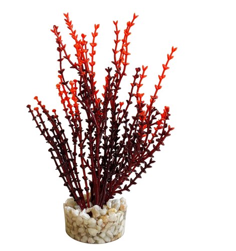 דקורציה AQUA NANO MOSS 380278 - SYDECO