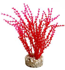 דקורציה AQUA NANO MOSS 380278 - SYDECO
