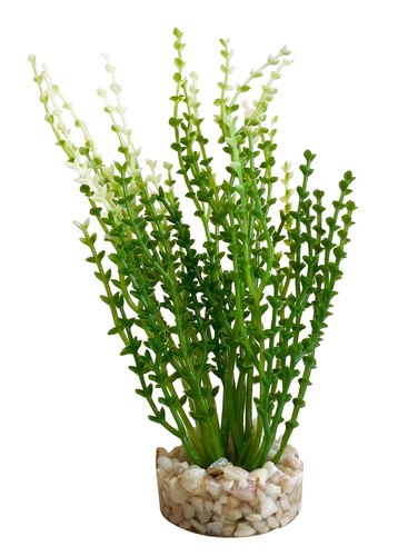דקורציה AQUA NANO MOSS 380278 - SYDECO