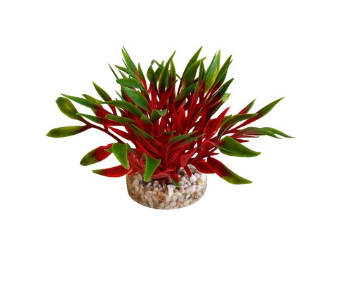 דקורציה NANO BUSH NATURAL 350146- SYDECO