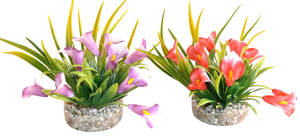 דקורציה 9 ס"מ - CALA LILY 349616 - SYDECO