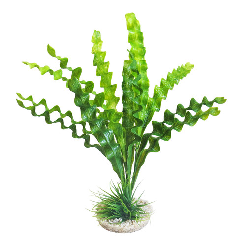 דקורציה 380369 Aponogeton/Hottonia Mix SYDECO