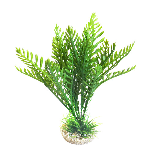 דקורציה 380369 Aponogeton/Hottonia Mix SYDECO