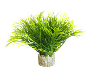דקורציה 12 ס"מ - AQUATIC LEAVES 380052 - SYDECO
