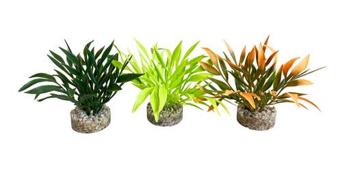 דקורציה MAGIC AQUA NATURALS 380270 - SYDECO