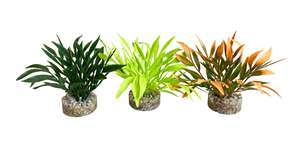 דקורציה MAGIC AQUA NATURALS 380270 - SYDECO