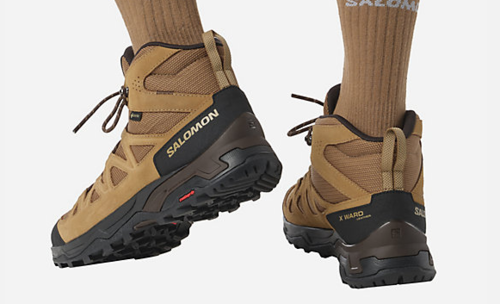 נעלי הרים לגברים מדגם SALOMON QUEST ROVE GTX מדברי