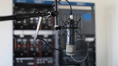 זוית נוספת Ultimate Support MC-125 Mic Boom Stand
