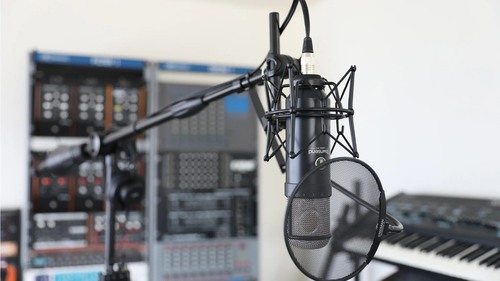 זוית נוספת Ultimate Support MC-125 Mic Boom Stand