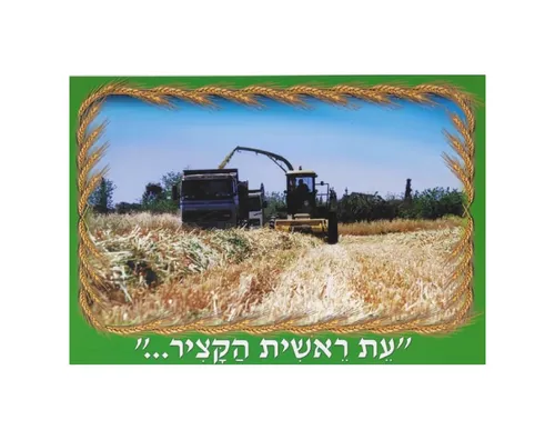 ערכת תמונות - שבועות