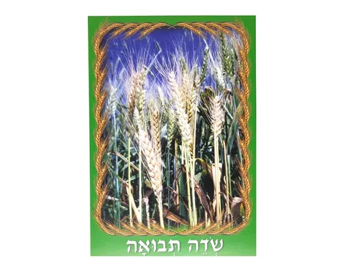 ערכת תמונות - שבועות