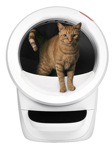 ‏שירותים חכמים אוטומטים לחתול Litter Robot 4 לבן