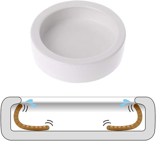 קערת אוכל לזוחלים 