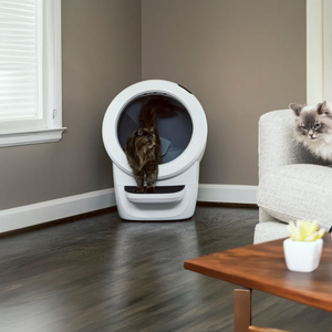 ‏שירותים חכמים אוטומטים לחתול Litter Robot 4 לבן