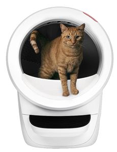 ‏שירותים חכמים אוטומטים לחתול Litter Robot 4 שחור