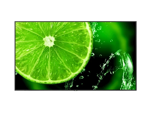 מסך מקצועי 65