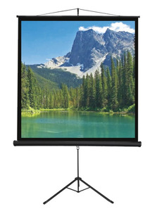 מסך הקרנה מתקפל +חצובה  213X213 VEGA