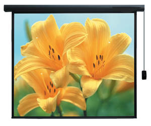 מסך הקרנה תליה-חשמלי 2.13X2.13 +שלט חוטי VEGA