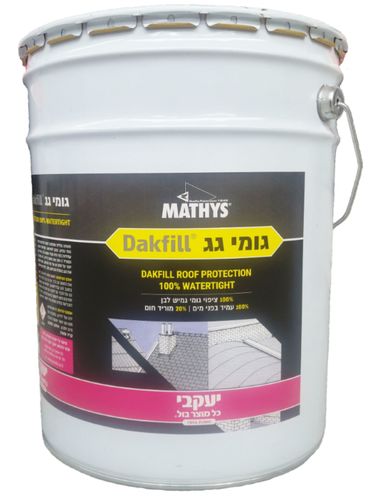 גומי גג