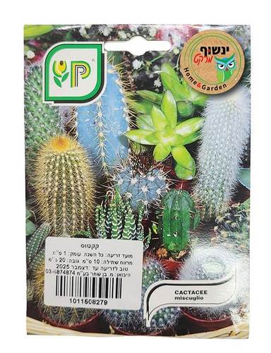 זרעי קקטוס