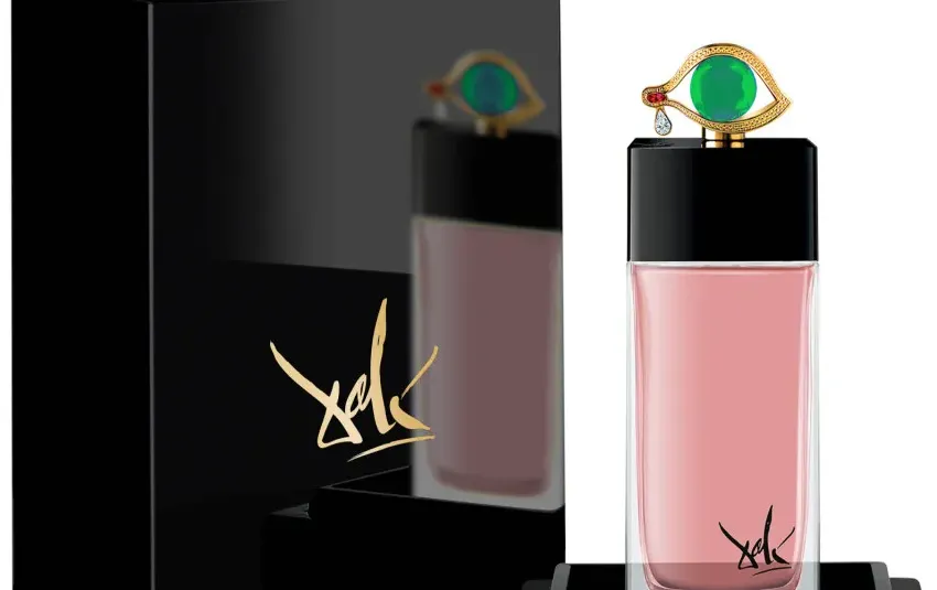 Salvador Dali Vision Enigmatique de L'œil Du Désir