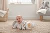 כרית התפתחות בטן-אפור
