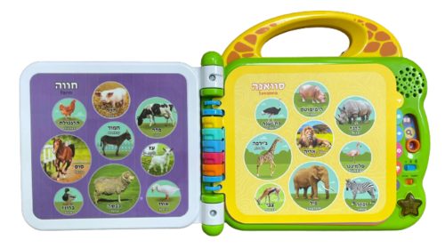 ספר 100 מילים עברית - אנגלית Leap frog