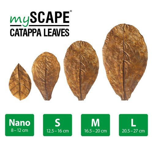 ארקה עלי קטאפה נאנו MyScape Catappa Leaves