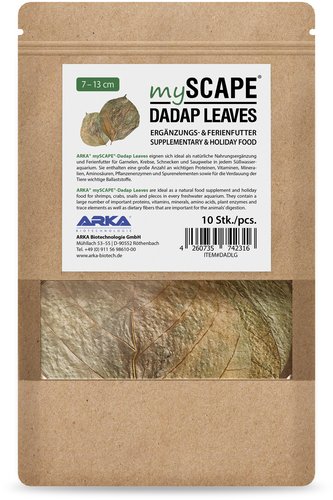 ארקה עלי דאדאפ MyScape Dadap Leaves