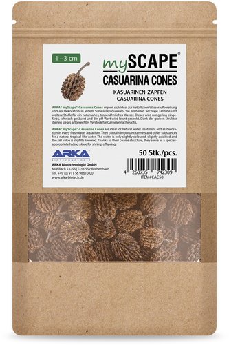 ארקה קונוסים קזוארינה MyScape Casuarina Cones 