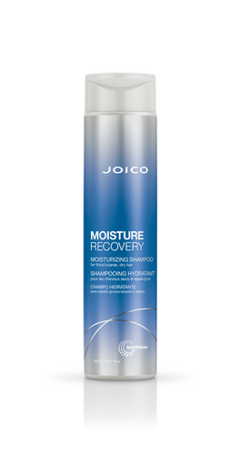 שמפו לשיער מתולתל ויבש ליטר Moisture Recovery