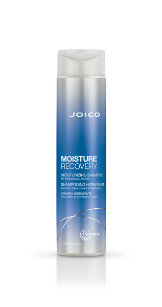 שמפו לשיער מתולתל ויבש ליטר Moisture Recovery