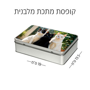 קופסת מתכת מלבן 