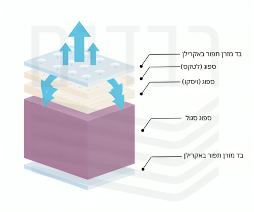 מזרון ויסקו בשילוב לטקס דגם סיסליפ - יחיד