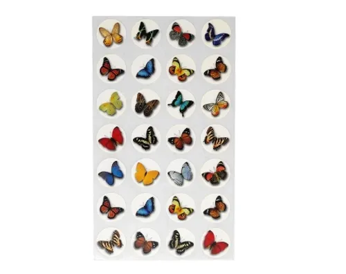 ערכת יצירה - שטיח חיות בר עם מדבקות - 10 יח'