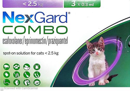 NexGard קומבו אמפולה - טיפול בפרעושים וקרציות לחתולים