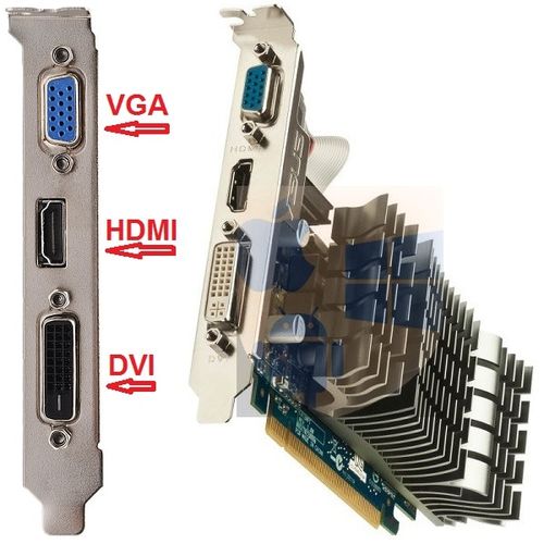 כרטיס מסך Asus Nvidia GeForce GT610 PCI-Express 1GB