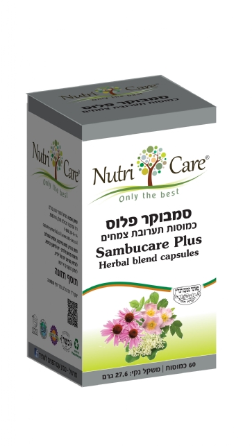 סמבוקר פלוס