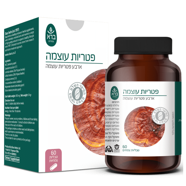 Power Mushrooms | פטריות עוצמה