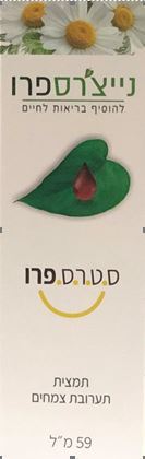 נייצ