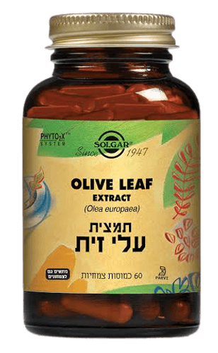 עלי זית תמצית תקנית Olive Leaf (Olea europaea) SFP | כמוסות 60 | 250 מ